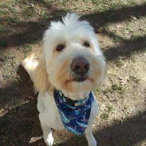 Meet your Posher, Casey